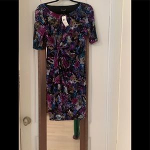 Floral Print Sheath Dress Size 6P